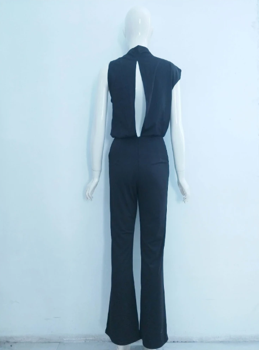 Elegant Sleeveless Jumpsuit – Minimalist –&nbsp; Chic One-Piece Outfit